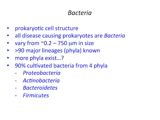 General characteristics of Bacteria