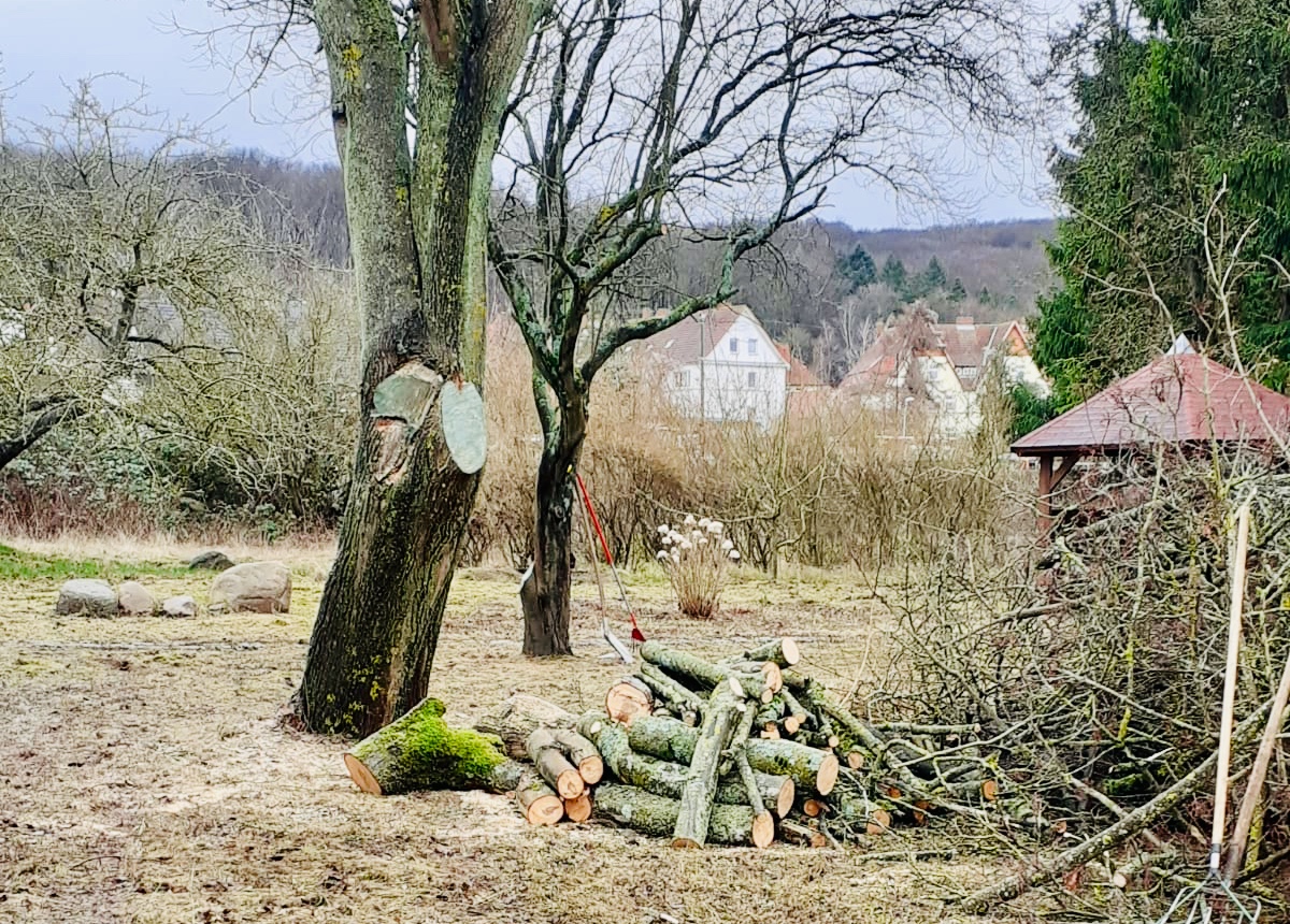 Slow Run 2020 Yuvedo Foundation Betterplace Org