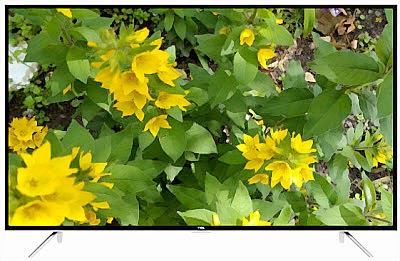 Master Electronics Repair !: REPAIRING / SERVICING TV TCL L55P65US