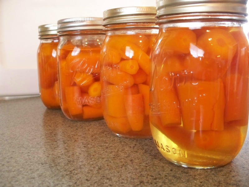 Canning Adventures of a DIY Mom