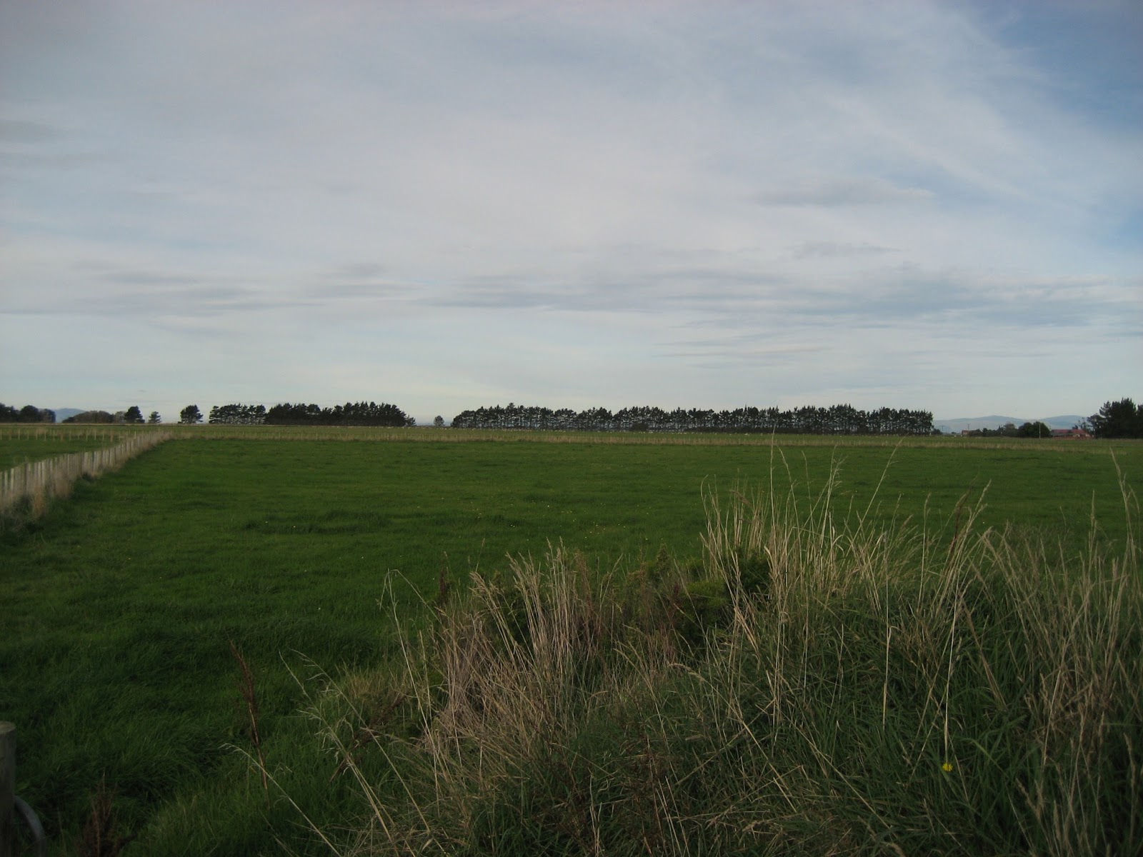 Life at Arbordale Farm