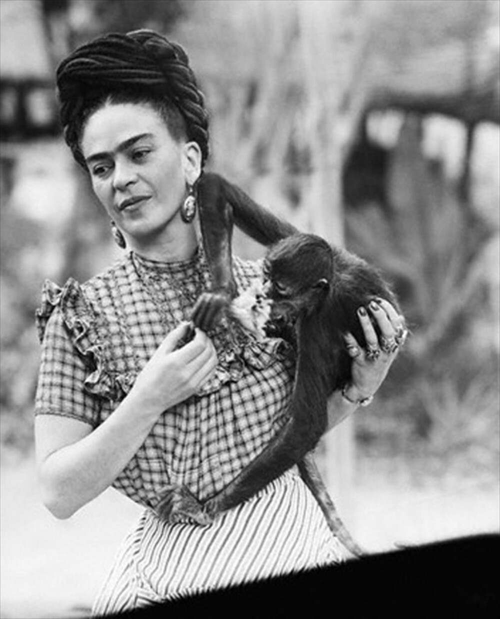 Monkeys, Dogs and Deer Vintage Portraits of Frida Kahlo Posing With Her Beloved Pets at Home Monkeys, Dogs and Deer Vintage Portraits of Frida Kahlo Posing With Her Beloved Pets at Home