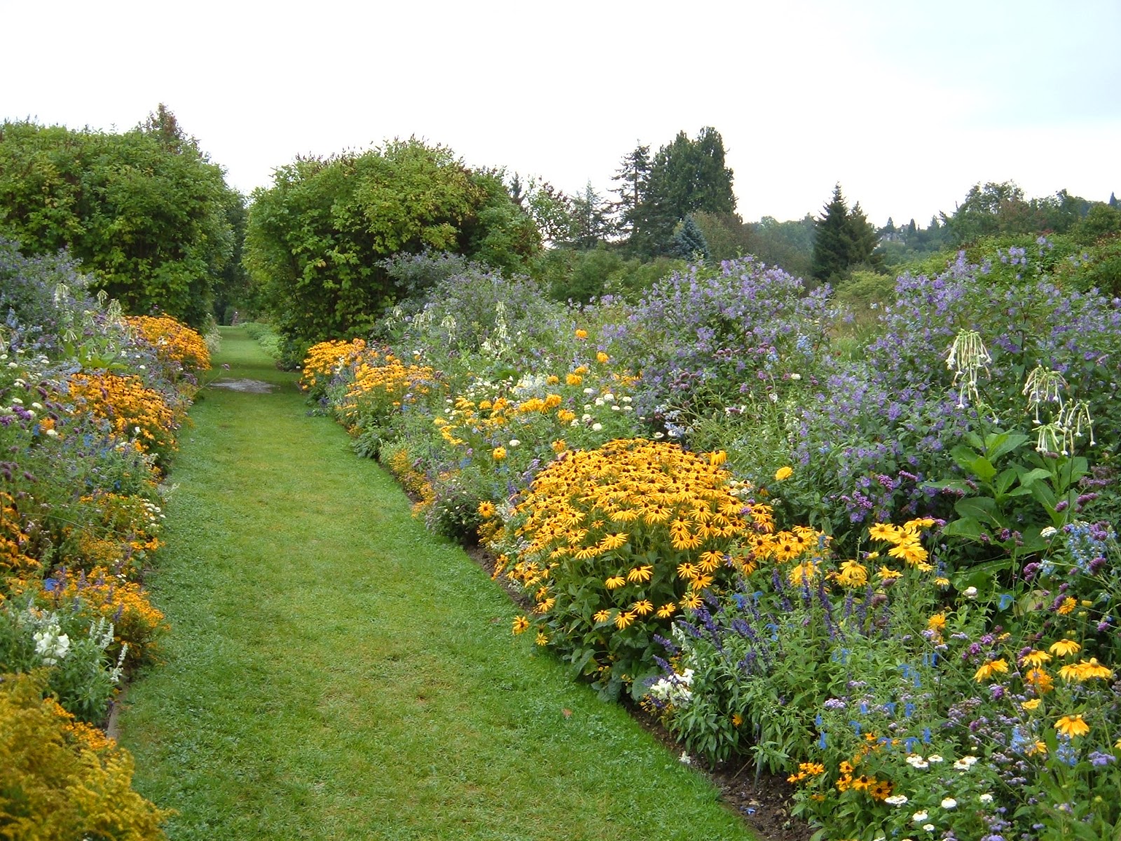 Noel's Garden Blog Weihenstephan German planty paradise