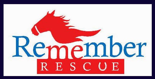 Remember Me Rescue