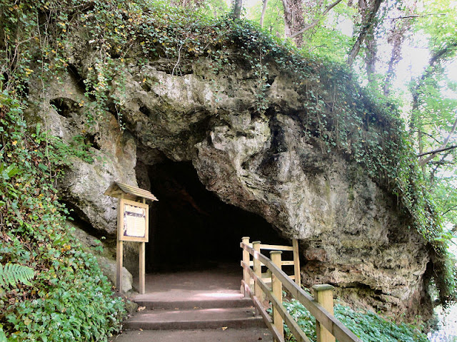 The entrance to Mother Shipton's Cave with visitor noticeboard outside and vines growing over the top of the cave entrance