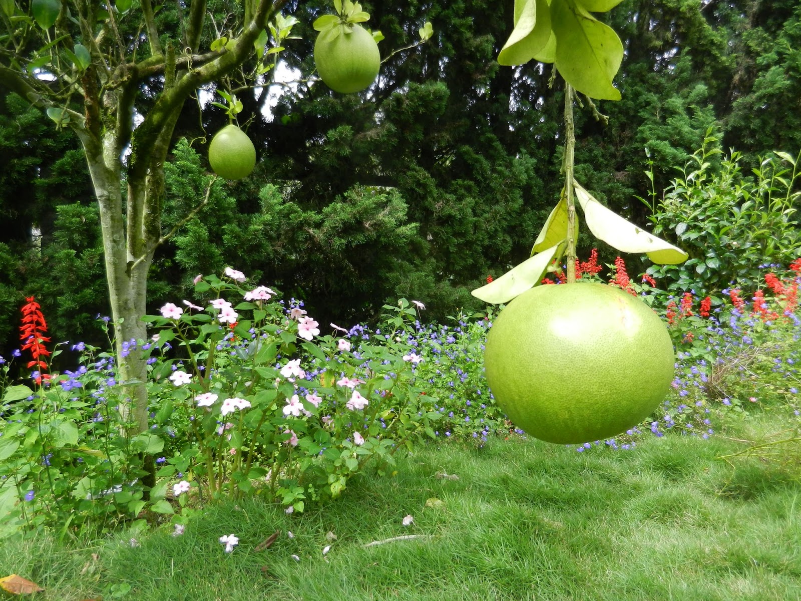 Serving Senior Missions October 2016