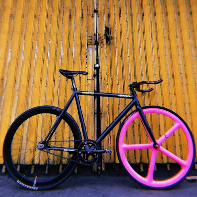 ave maldea fixie