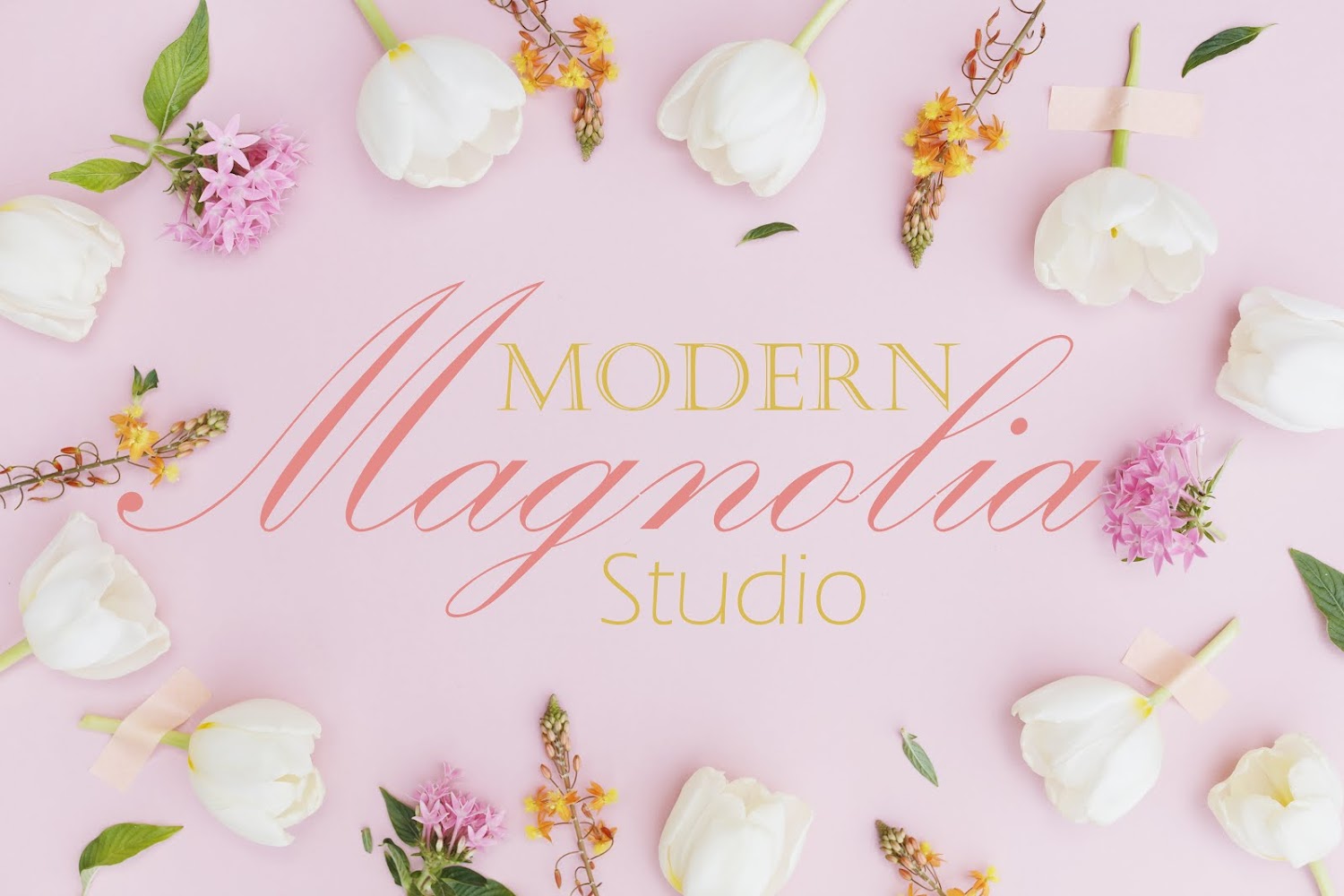 Modern Magnolia Studio