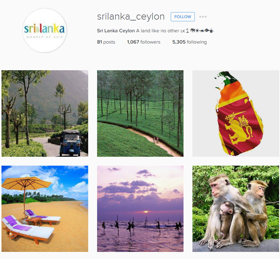 6 Instagram accounts that will make you want to visit Sri Lanka