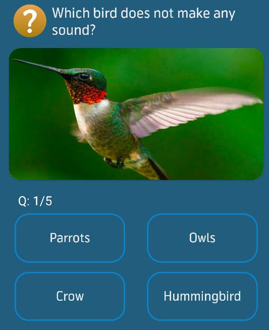 Which bird does not make any sound?