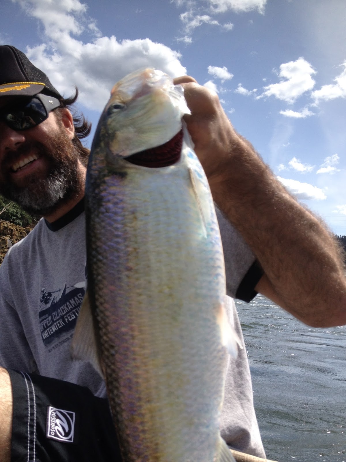 Fly Fish Oregon Water Time Report Oregon Fishing Opportunities