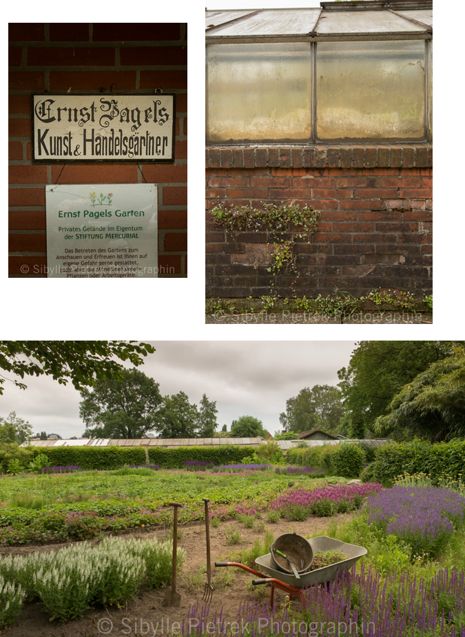 GartenblickGartenfotografie Ernst Pagels Bürgergarten in