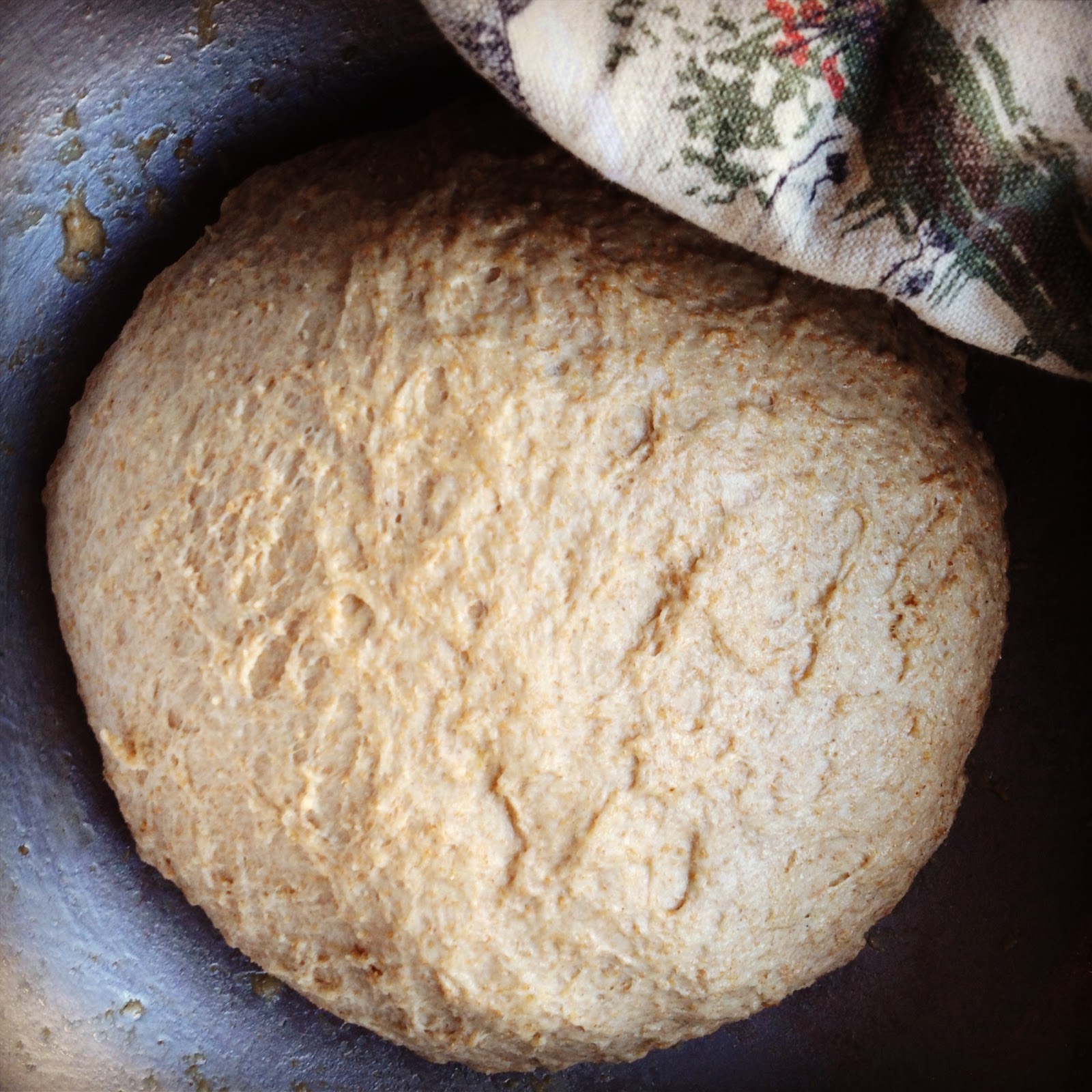 foodrefuge Simple Whole Wheat Sandwich Bread