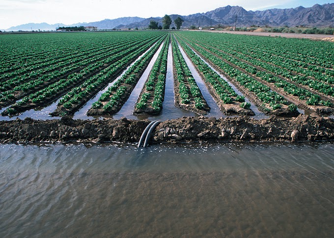 Métodos de Irrigación