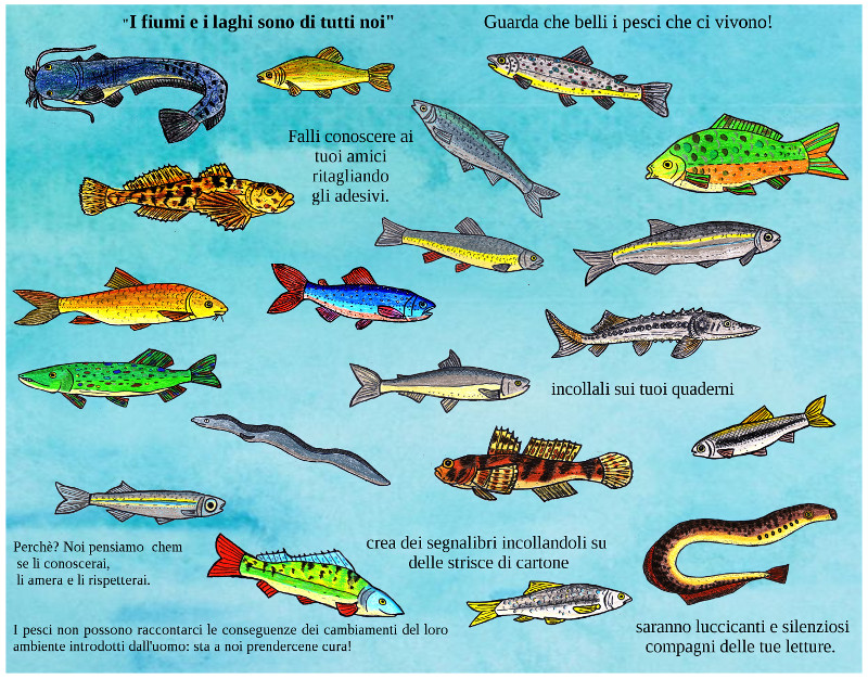 Voglio Una Mela Blu Il Gioco Dei Nostri Pesci Di Lago E Di Fiume Da Scaricare Gratis Per Celebrare La Giornata Mondiale Dell Acqua