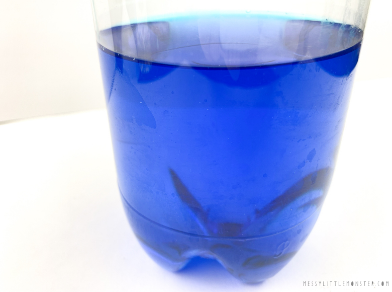 Ocean in a bottle sensory bottle Ocean in a bottle sensory bottle