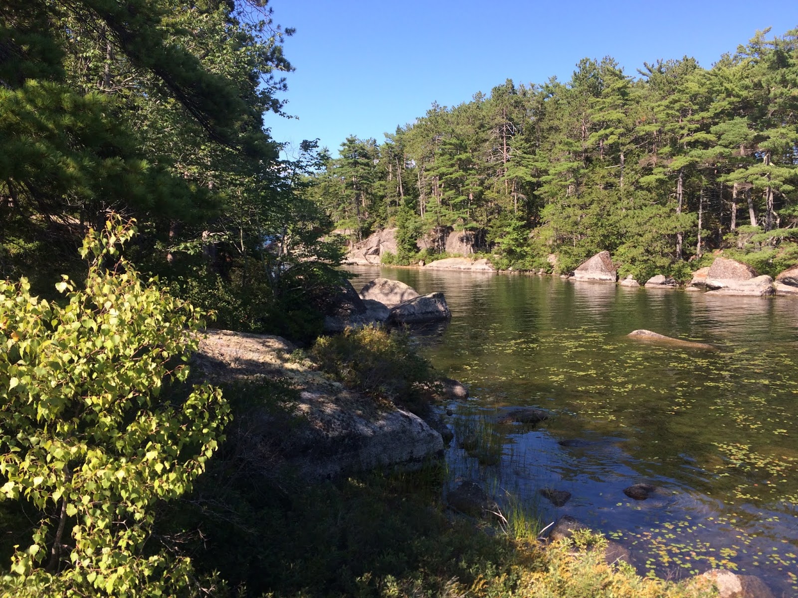 Kayaking to the Phillips Lake Islands