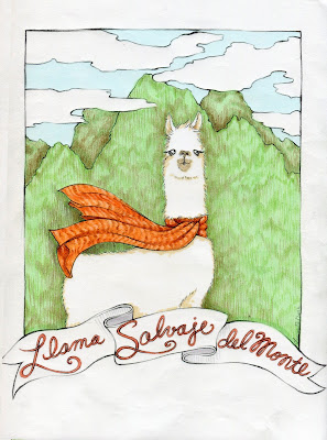 savage-llama, llama, llama-drawing, llama-wearing-scarf, llama-scarf, peruvian-llama