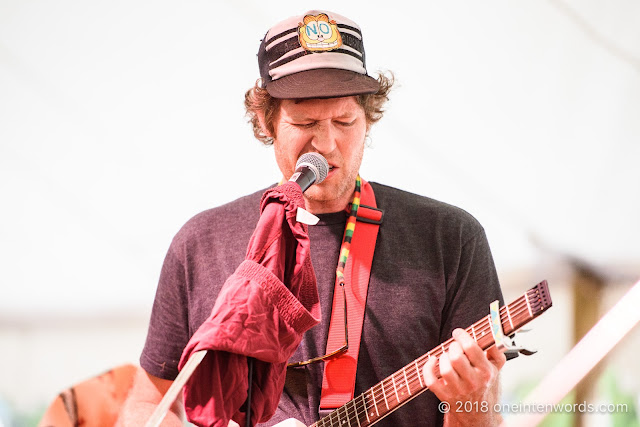 Chad Vangaalen at Hillside 2018 on July 15, 2018 Photo by John Ordean at One In Ten Words oneintenwords.com toronto indie alternative live music blog concert photography pictures photos