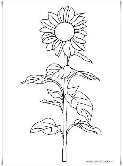Coloring book pdf download