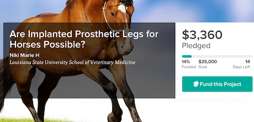 implant prostheses for amputee horses