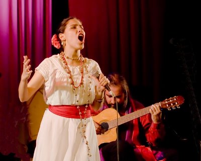 Noticias: El conflicte a França fa perillar el concert de Maria Inés Ochoa