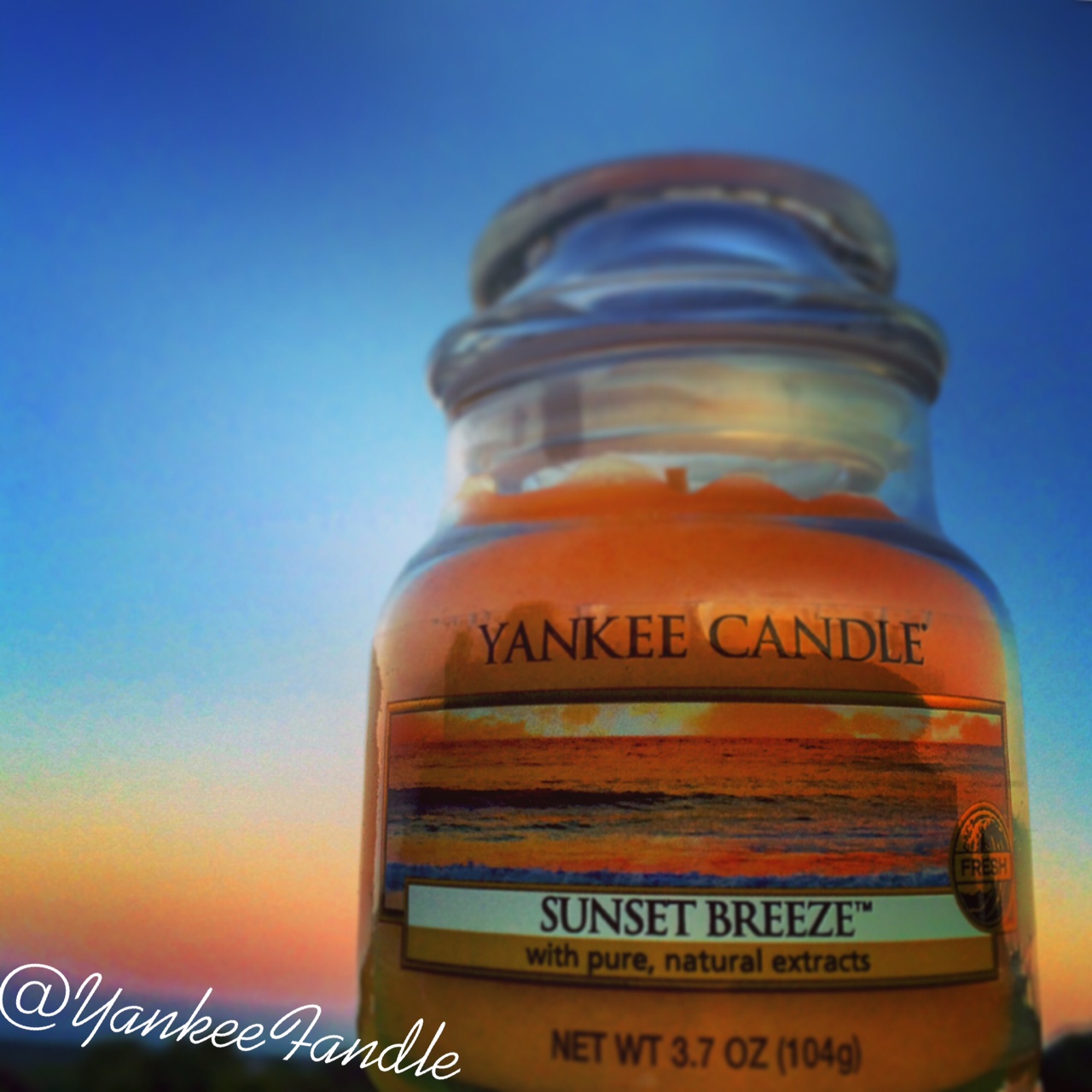 Yankee Fandle Yankee Candle new Warm Summer Nights range and a QVC TSV
