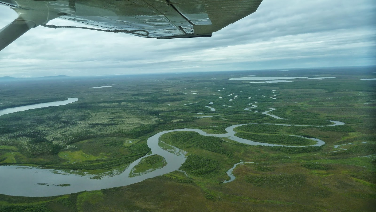 Ecología básica del río II