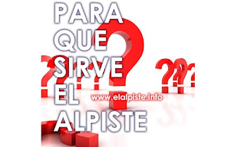 Para que Sirve el Alpiste Molido Remojado y Licuado Para que Sirve el Alpiste Molido Remojado y Licuado