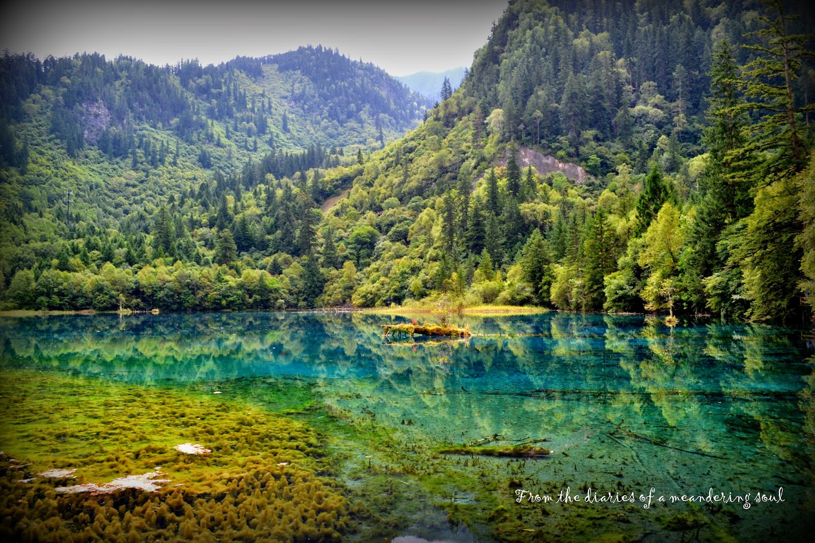 The Five Flowers Lake