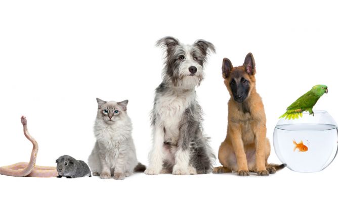 ¿Qué hago con mis cosas sin voy a viajar durante largo tiempo?