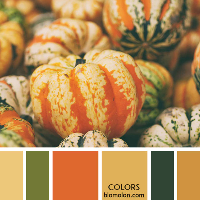 variedad en color paletas de colores 44 variedad_en_color_paletas_de_colores_44