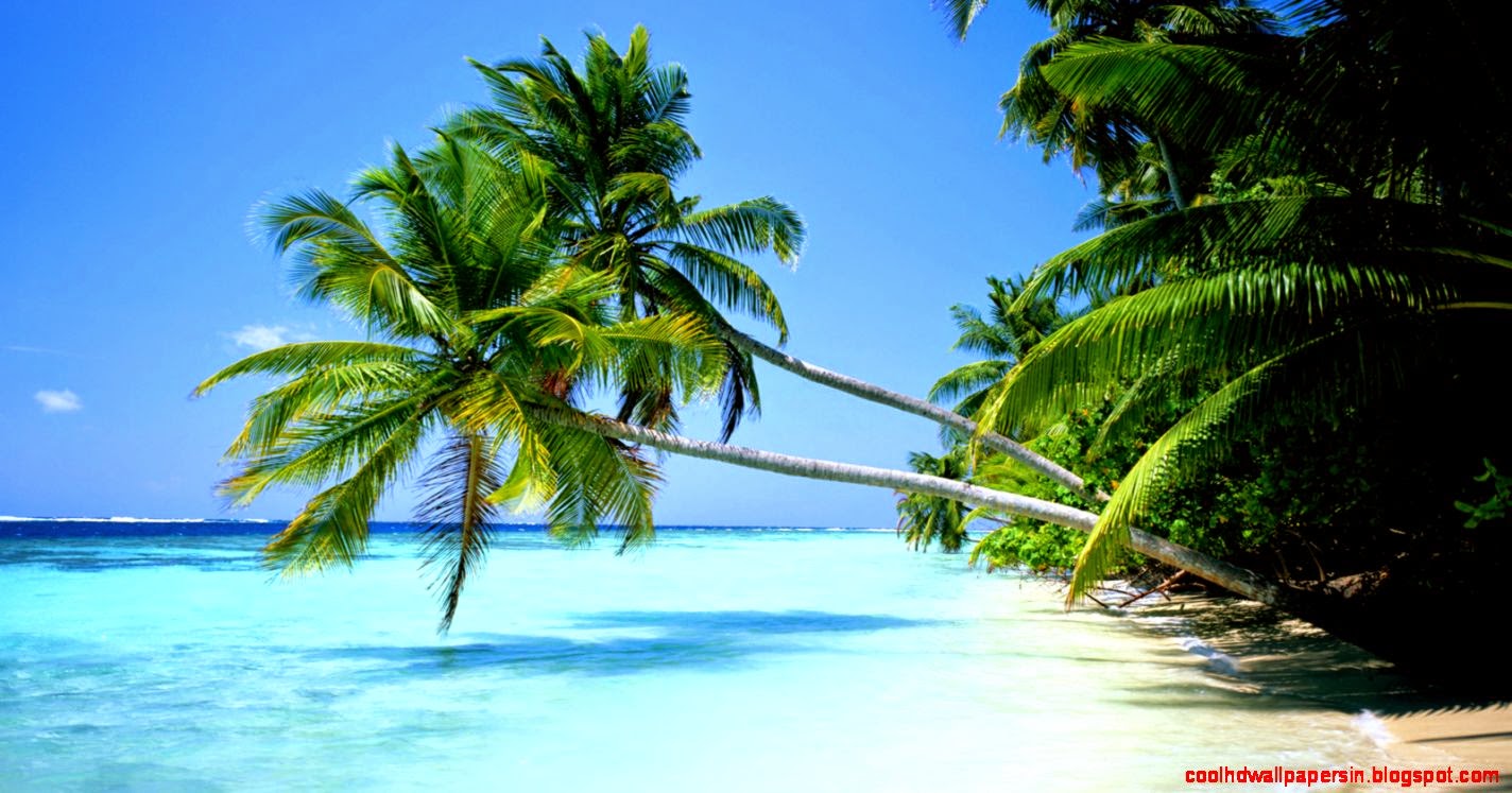 Tropical Beach desktop wallpaper « Desktopia