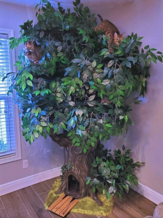 Luxury Cat Trees for Spoiled Rotten Kitties Best Cat Tree for Bengal
