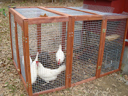 adding onto existing chicken coop 9