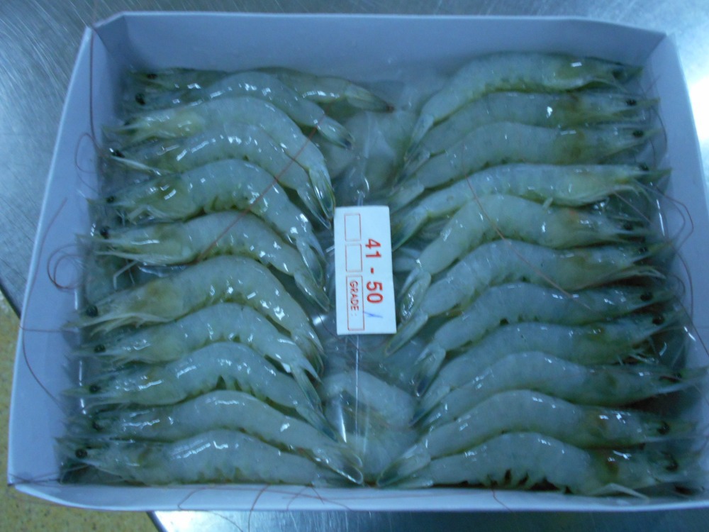 Frozen Vannamei Shrimp Raw and Cooked Condition Vannamei White
