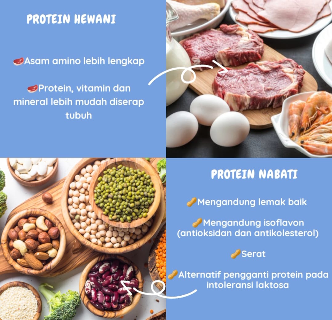 Protein Nabati Dan Hewani - Perumperindo.co.id