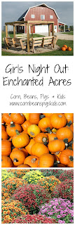 Have a Girls Night Out at Enchanted Acres this Fall by going to one of their classes or workshops