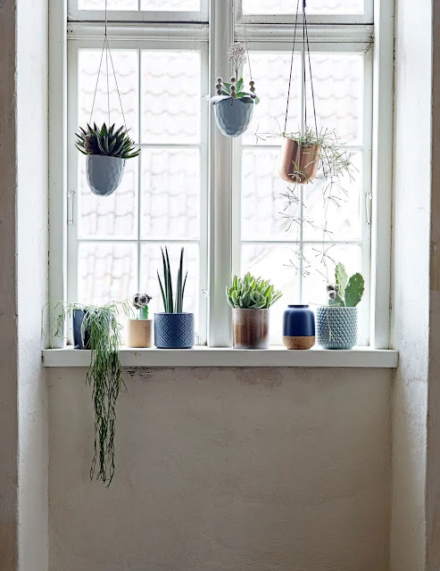 Vegetaliser le bord de la fenêtre