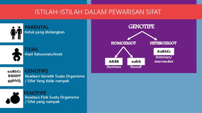 Soal Pewarisan Sifat Ipa Kelas Ix Fisika Ceria