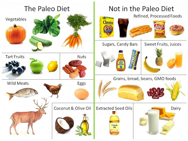 paleo diet for celiac disease the paleo plan is designed