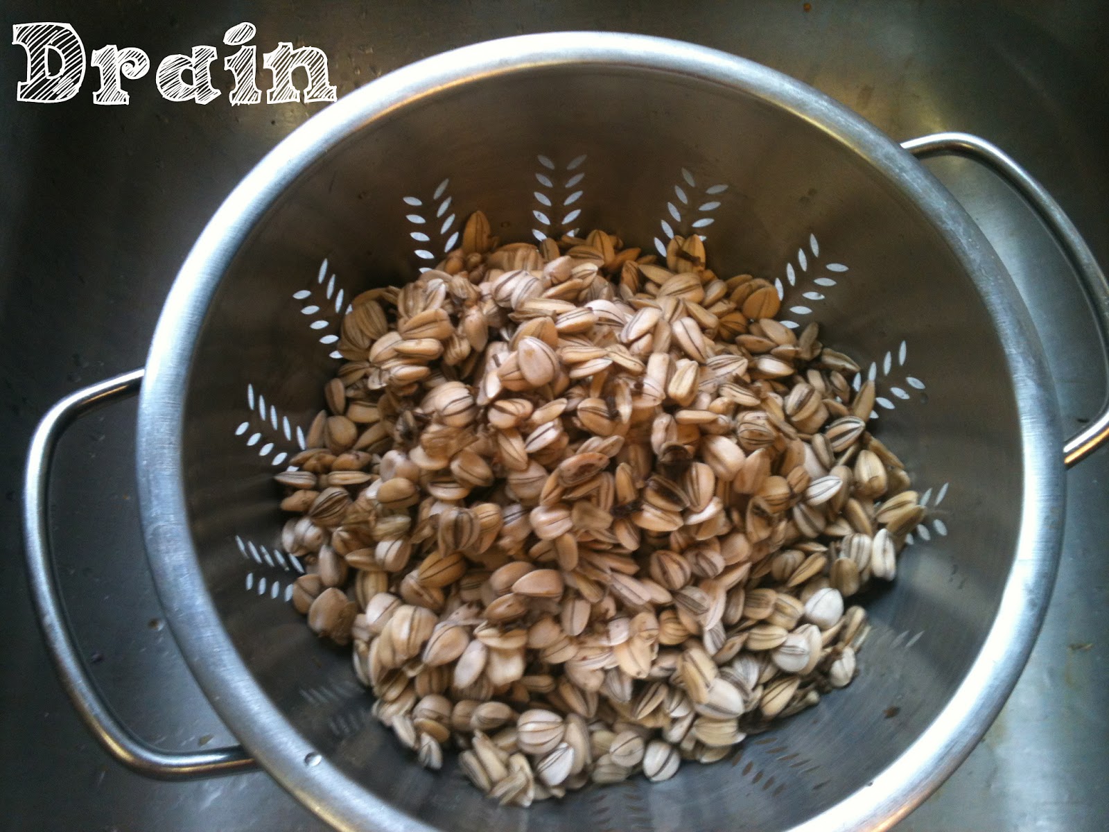 Sunflower Seeds Are Sunflower Seeds Bad For You