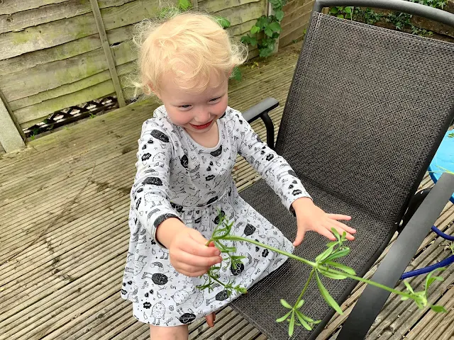 Toddler with a weed in the garden
