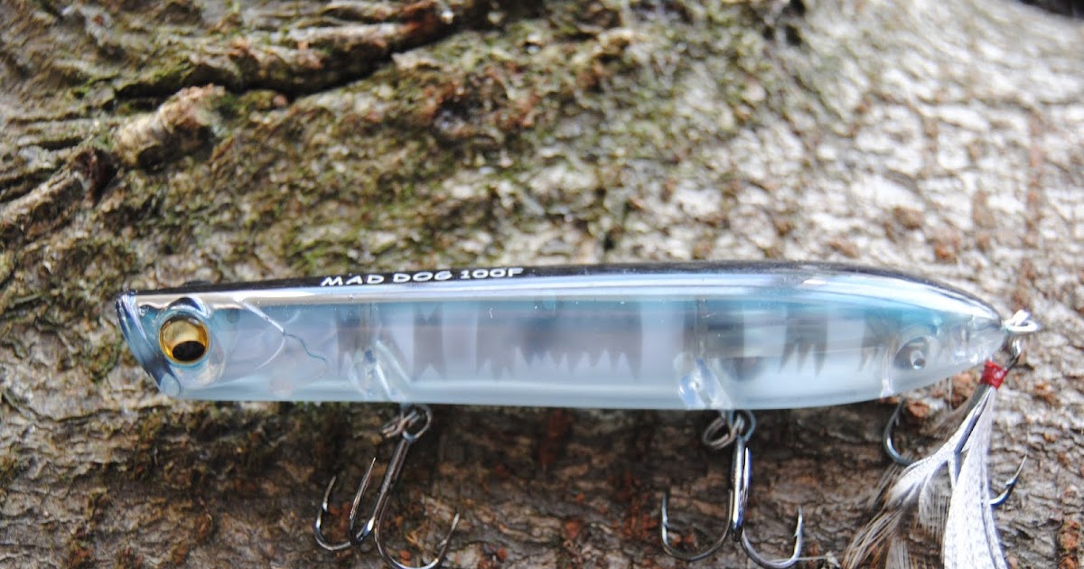 Graham Hill Modern Bass fishing 2021 MAD DOG 100f 16g super lure