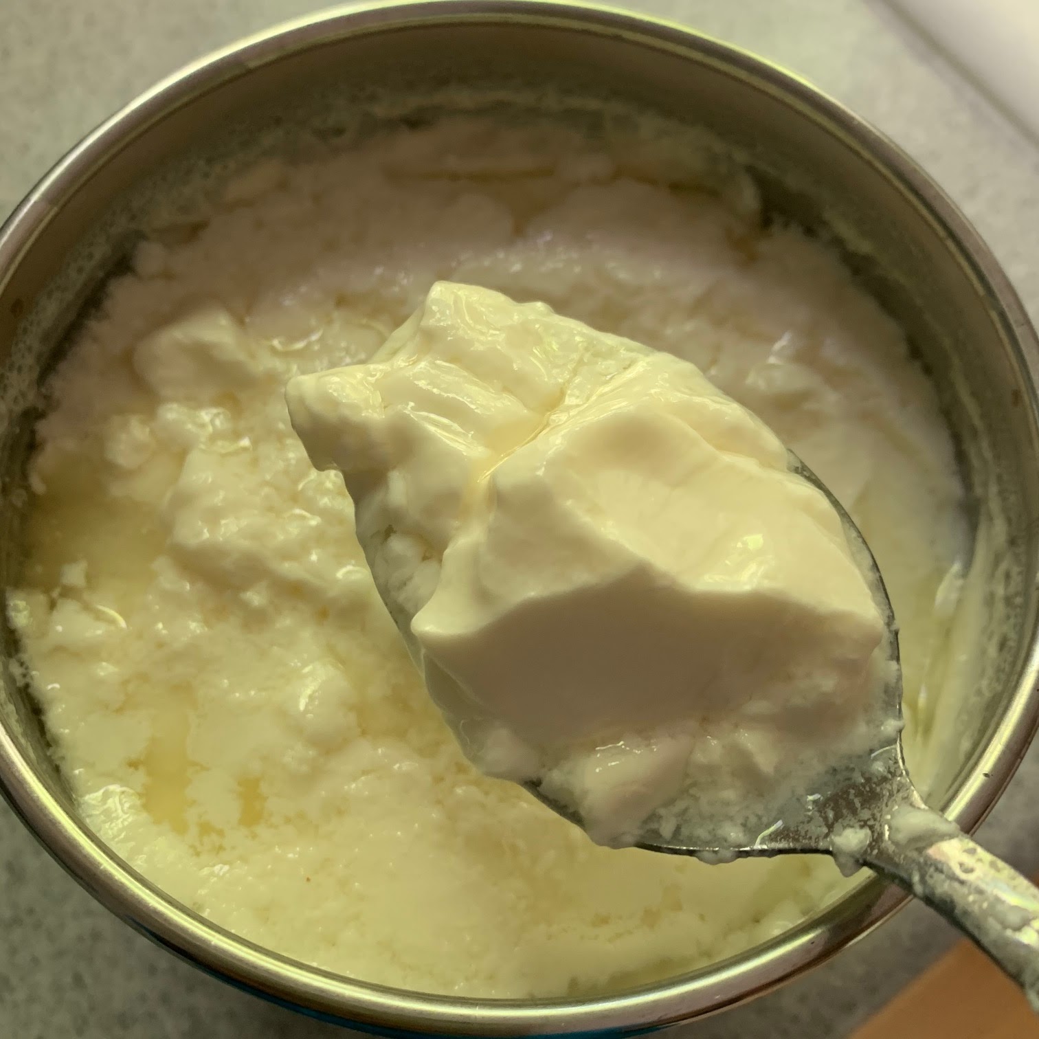 Kashi Delights Homemade Yogurt FailProof Instant Pot Method
