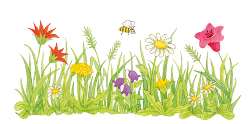 Leseproben für kleine Schmökerratten: Oktober 2013