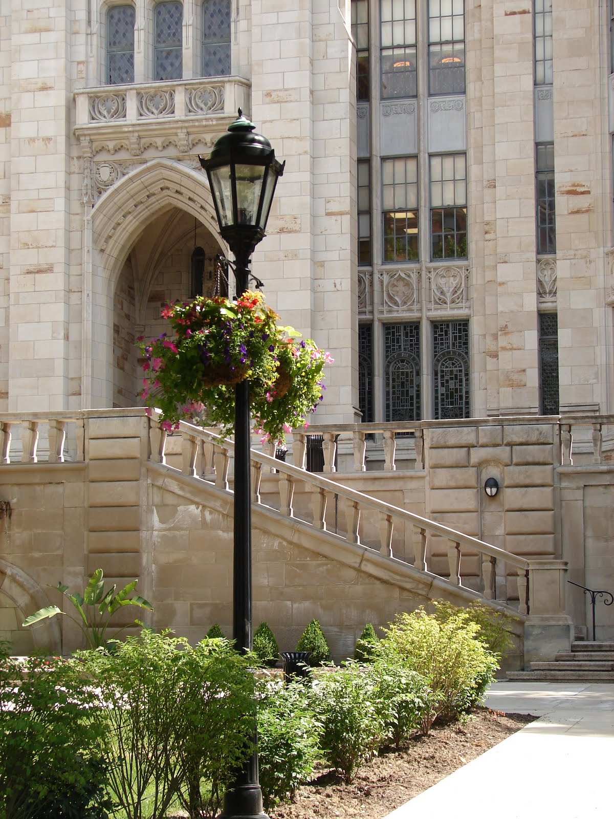 Ryan's photography Day43Lamp Post with Flowers.