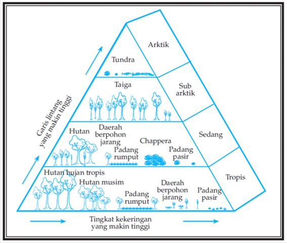 Menyayangi Bumi Dengan Geografi Faktor Faktor Yang Memengaruhi Persebaran Flora Dan Fauna