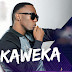 AUDIO MUSIC | Rich Mavoko _ Kaweka  ( official Audio ) | Download mp3