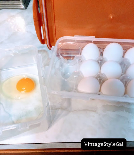 Egg in container with eggs in carton container